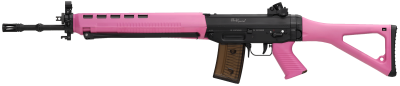 SIG AR 90PE (SG550), calibre 5.6mm, "Black _1
