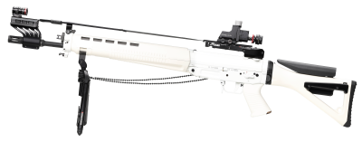 SIG Stgw 90PE (SG550), Kal. 5.6mm, Komplettangebot_2