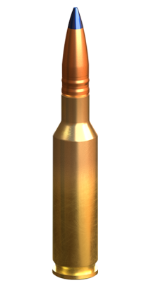 Lapua Cartouches 6.5 Creedmore, TRX 1120gr N583_1