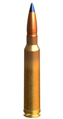 Lapua Kugelpatrone .300WinMag, TRX 165gr N584 _2