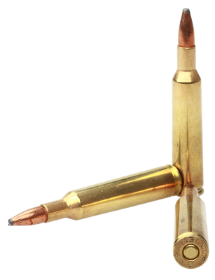 Remington cartouche 6mmRem, PSP CoreLokt 100gr_3