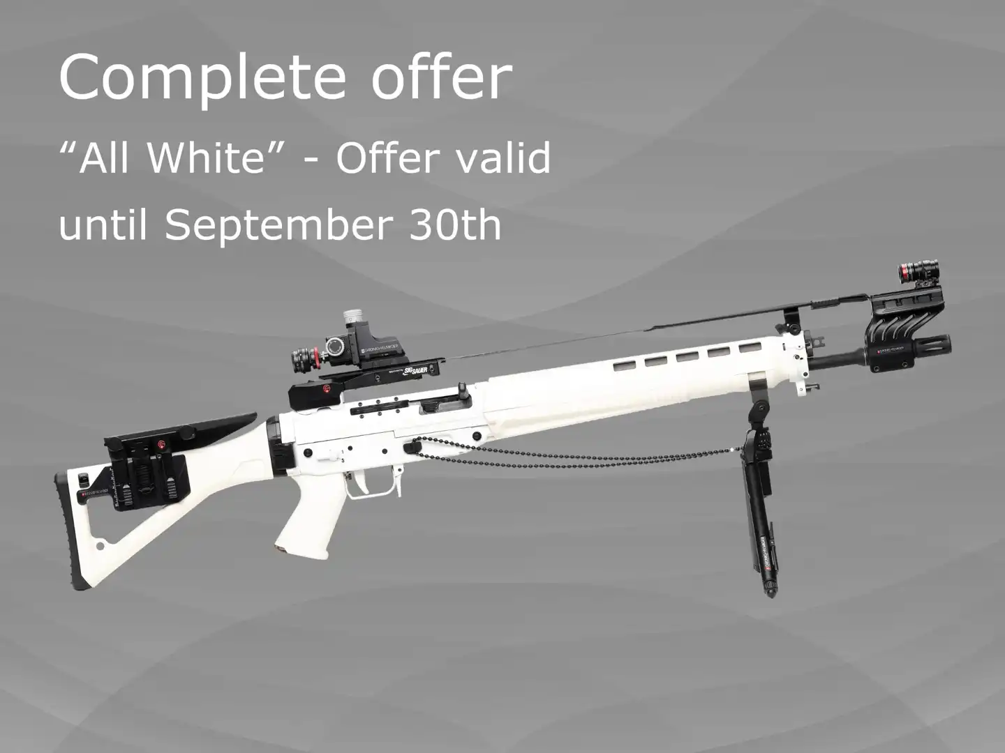 Complete offer Stgw 90 "All white"