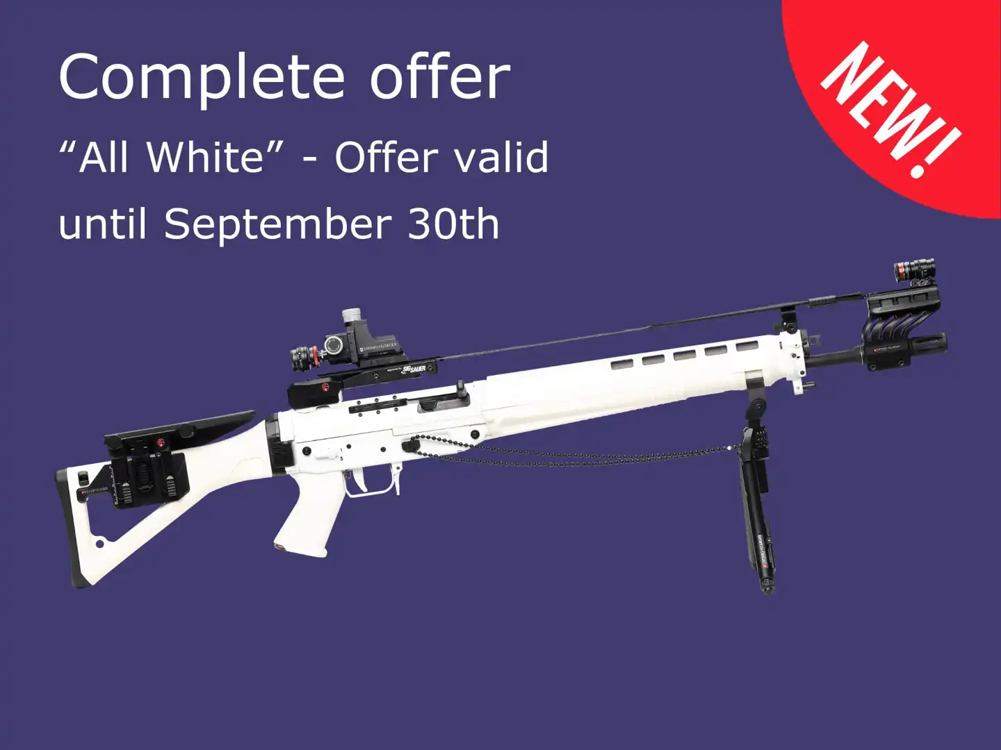 Complete offer Stgw 90 "All white"