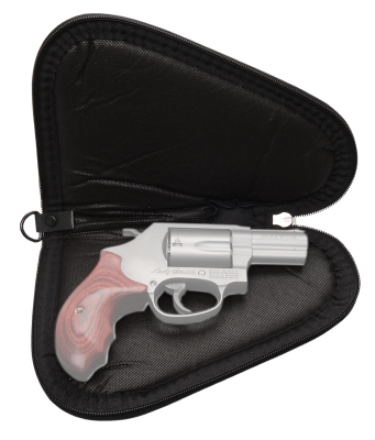 Allen Endura Locking Handgun Case 8", blk