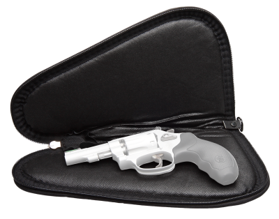 Allen Endura Locking Handgun Case 11", blk