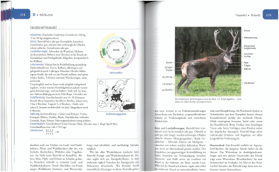 Krebs; Vor und nach der Jägerprüfung, BLV Verlag